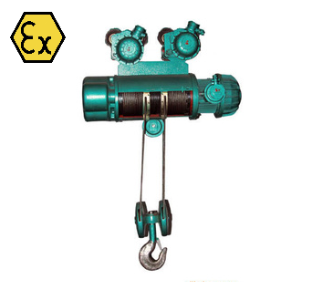 explosion-proof hoist.png