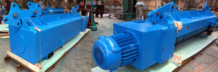 Weihua crane Electric Hoist